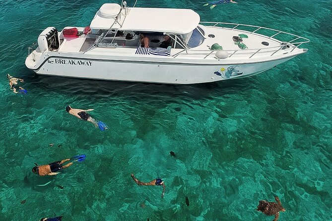 Snorkel St. John Tour from Sapphire and Margaritaville - What the crew adds to the day