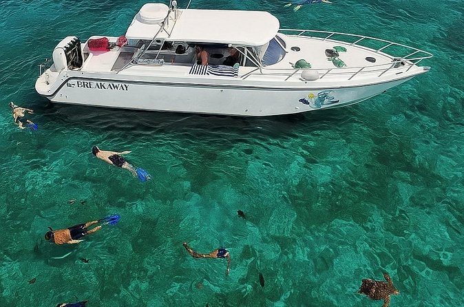 Snorkel St. John Tour from Sapphire and Margaritaville - Is $180 a fair price?