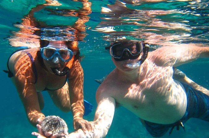 Snorkel Tour - What the $120 price gets you on St. Thomas