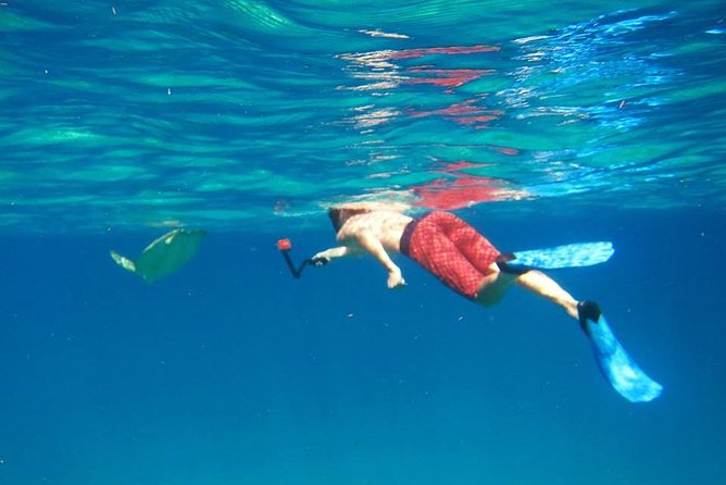 Snorkel Tour - Getting set up with gear and instruction