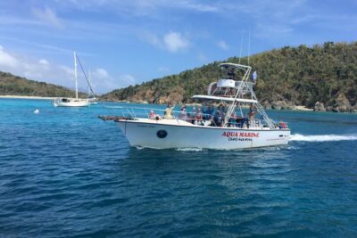 Snorkeling Adventure in St Thomas