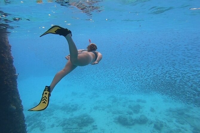 Snorkeling Gear Rental - Why a snorkel rental works well on St. Croix