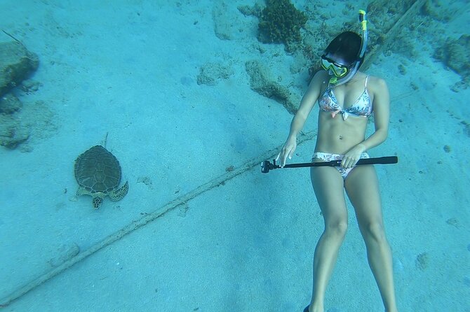 Snorkeling Gear Rental - Price, timing, and cancellation details