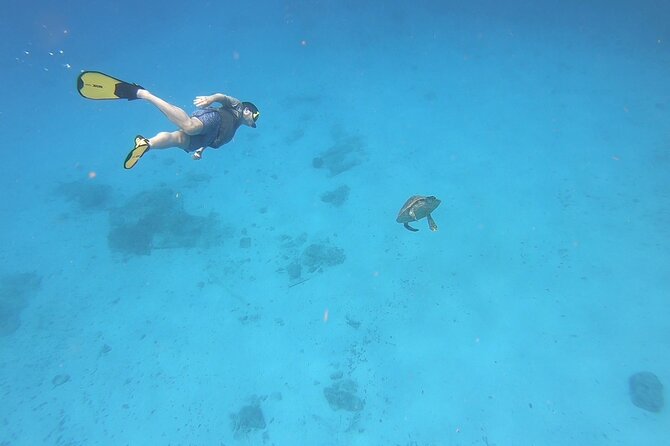 Snorkeling Gear Rental - Delivery makes the rental more useful