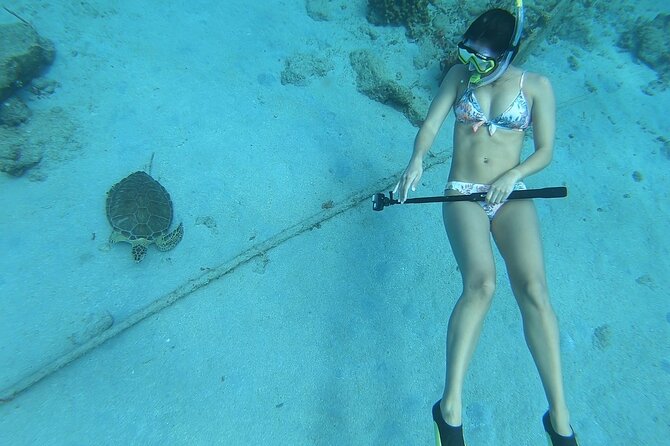 Snorkeling with Sea Turtles - Sea turtles beneath Frederiksted Pier