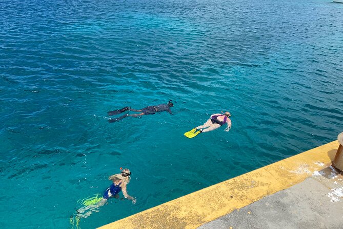 Snorkeling with Sea Turtles - Rainbow Beach, food, and the location question