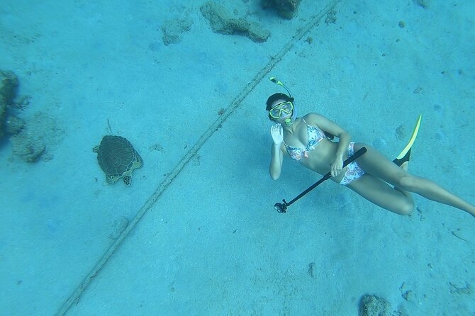 Snorkeling with Sea Turtles - Is $65 a good deal?