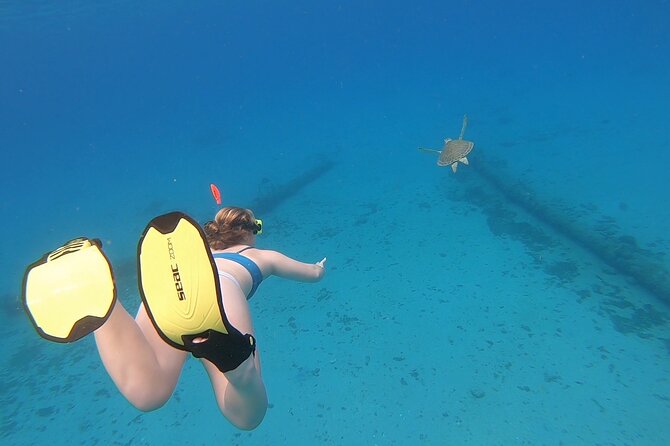 Snorkeling with Sea Turtles - Who will enjoy this most