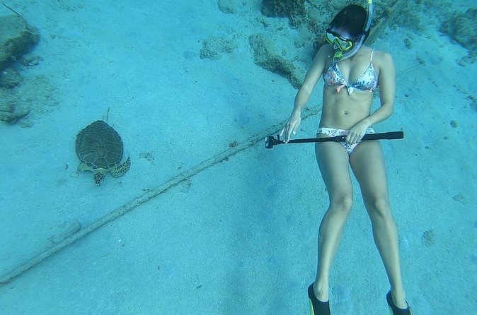 Snorkeling with Sea Turtles - Planning your time at the beach