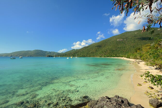 Snorkeling with Sea Turtles at St. Thomas - Why the guides matter