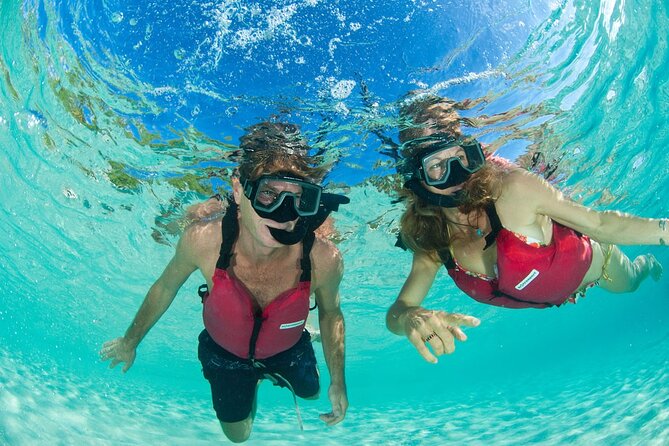 Snorkeling with Sea Turtles at St. Thomas - Who will enjoy this most