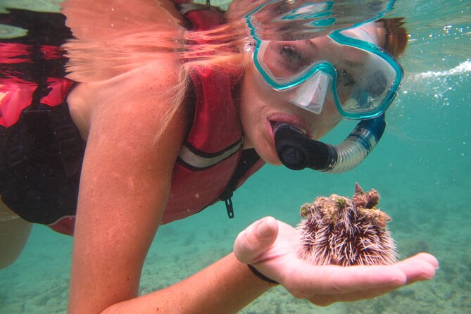 Snorkeling with Sea Turtles at St. Thomas - What happens when you arrive