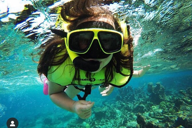 Snorkeling with Sea Turtles - What you may see in the water