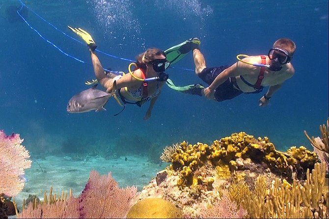 Snuba Adventure at Coral World Ocean Park - Key points to know before you book