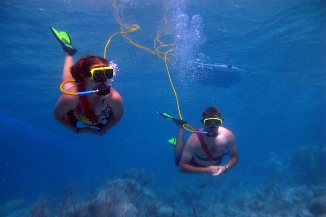 Snuba Adventure at Coral World Ocean Park - Why Snuba works for first-time underwater explorers
