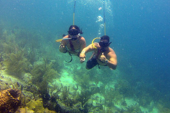 Snuba Adventure at Coral World Ocean Park - Thirty minutes above the Coki Beach reef