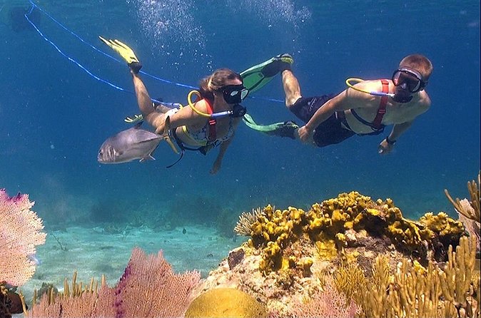 Snuba Adventure at Coral World Ocean Park - Sea conditions deserve serious attention