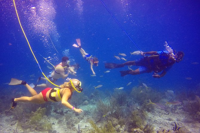 Snuba Adventure at Coral World Ocean Park - Coral World gives you more than a short water session