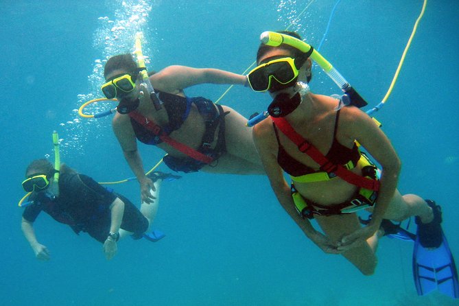 Snuba Adventure at Coral World Ocean Park - What the $102 price really covers