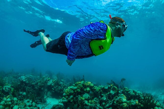 St. James Snorkel & Pizza Pi Lunch - Why the pizza and snorkeling combination works