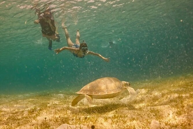 St John -Jeep Ride with A Guide! Customize Itinerary Your Way! - Virgin Islands National Park and the island’s older stories