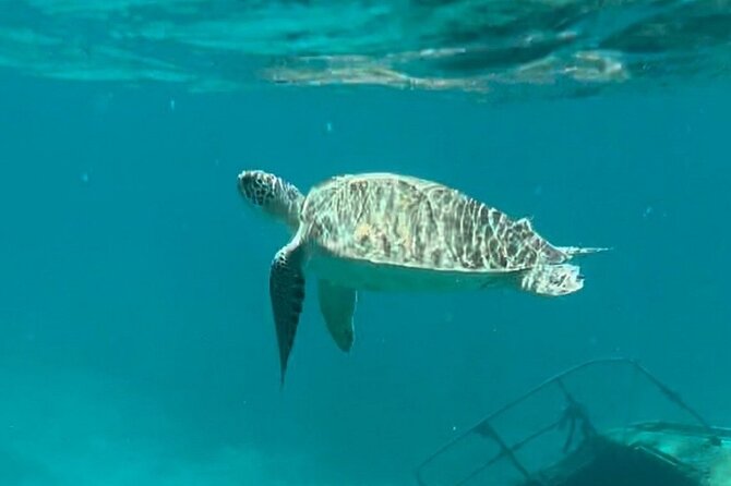 St John -Jeep Ride with A Guide! Customize Itinerary Your Way! - Coral Bay, local food, and a less hurried side of St John