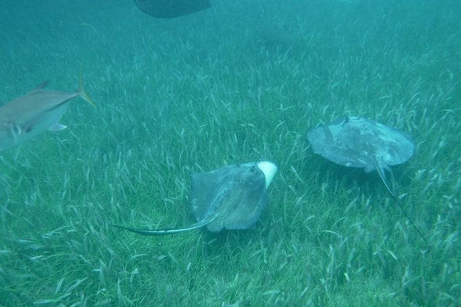St John & Surrounding Cays - Full-Day Sail/Snorkel, 6 Guests Max - Lunch between the snorkeling stops