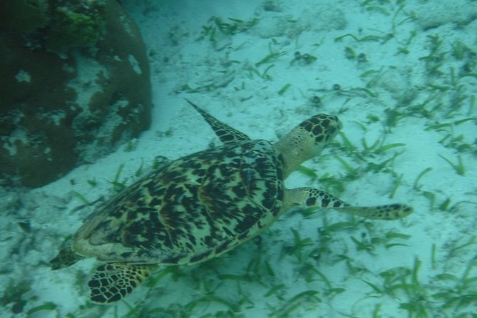 St John & Surrounding Cays - Full-Day Sail/Snorkel, 6 Guests Max - Price and value at $245 per person