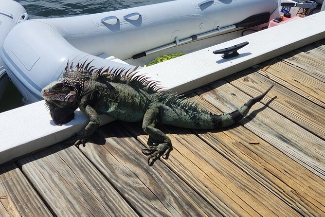St Thomas - Jeep Tour Customized Itinerary 5hrs - The value of the included beach gear and drinks