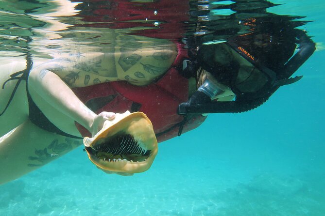 St Thomas Kayak and Sea Turtle Snorkel Excursion - Reaching the Turtle Beach