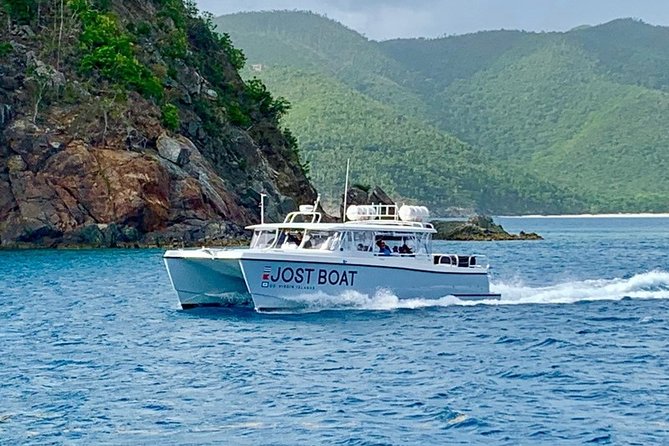 St. Thomas Lime Out Snorkel with Taco Bar Lunch & Swim-Up Bar - Ritz-Carlton - Why the floating taco bar makes this trip different