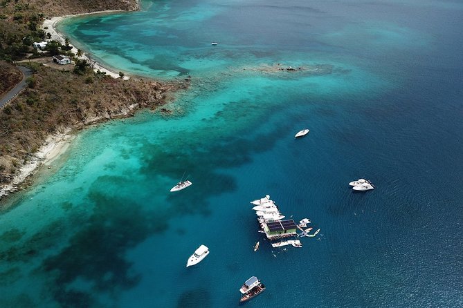 St. Thomas Lime Out Snorkel with Taco Bar Lunch & Swim-Up Bar - Ritz-Carlton - Final call: book it for the whole package