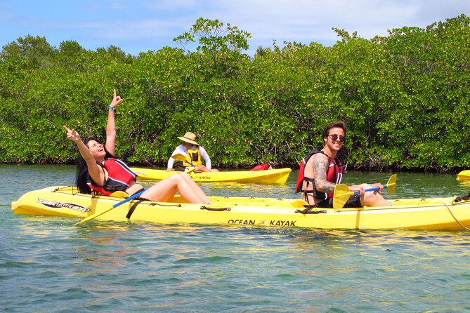St Thomas Mangrove Lagoon Kayak and Snorkel Tour in the US Virgin Islands - Why the Mangrove Lagoon is worth your time