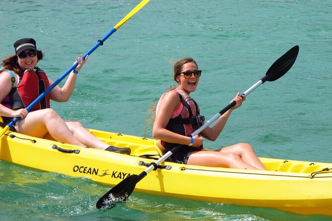 St Thomas Mangrove Lagoon Kayak and Snorkel Tour in the US Virgin Islands - Snorkeling among roots, fish, and changing visibility