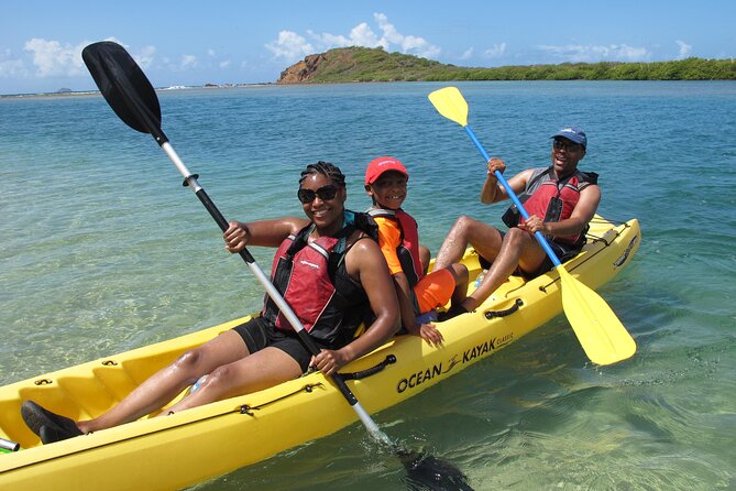 St Thomas Mangrove Lagoon Kayak and Snorkel Tour in the US Virgin Islands - The return paddle is where the workout shows