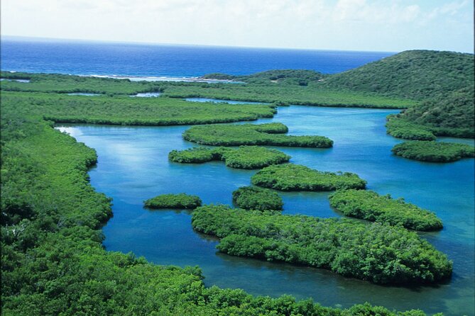 St Thomas Mangrove Lagoon Kayak and Snorkel Tour in the US Virgin Islands - What makes the guides so important