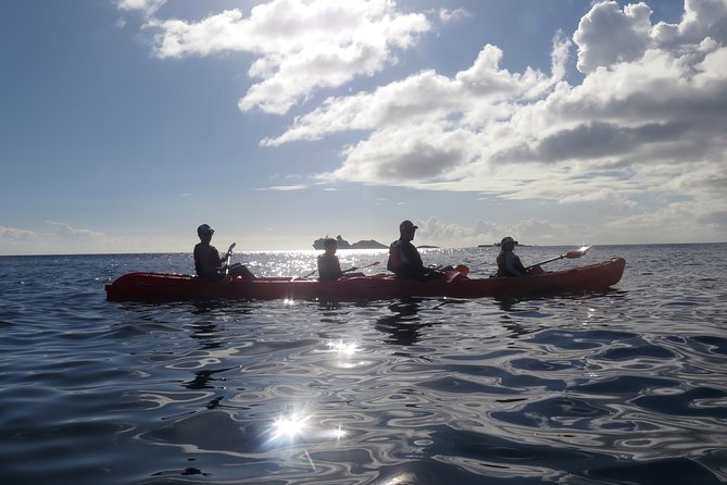 St Thomas Sea Turtle Snorkel Kayak Adventure Tour - Sea turtles in a calm St. Thomas bay