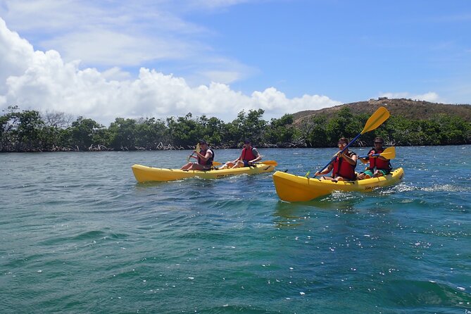 St Thomas Shore Excursion: Mangrove Lagoon Kayak and Snorkel Tour - The Cas Cay Hiking Option