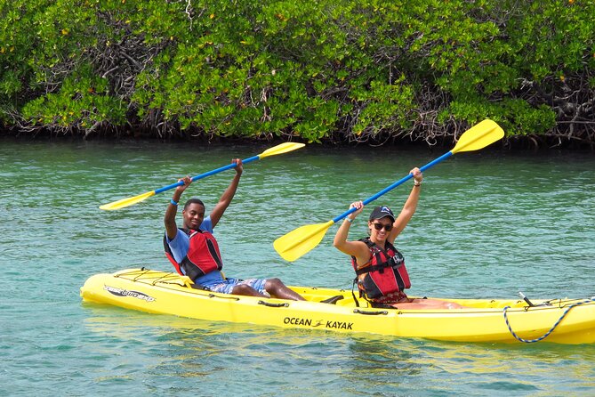 St Thomas Shore Excursion: Mangrove Lagoon Kayak and Snorkel Tour - Timing, Fitness, and Comfort