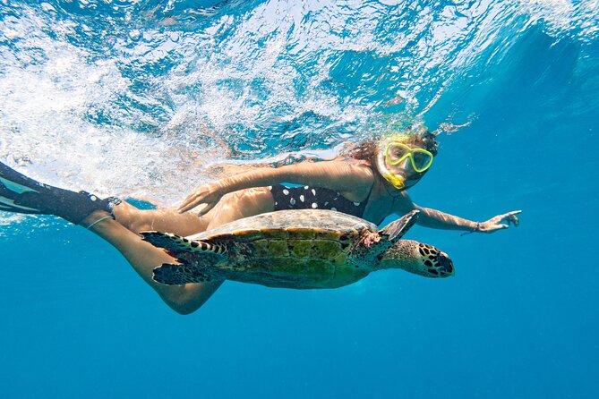 St Thomas Shore Excursion: Mangrove Lagoon Kayak and Snorkel Tour - Is $119 a Fair Price?