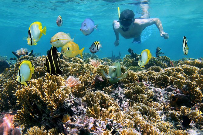 St Thomas~St John Snorkel, Swim & Beach Trip on MV Island Flyer - Key points to know before you book