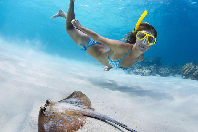 St Thomas~St John Snorkel, Swim & Beach Trip on MV Island Flyer - What you might see beneath the surface