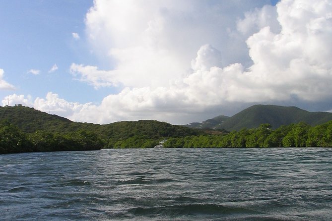 Stand Up Paddleboard Rental in St Thomas - Timing, meeting point, and practical planning