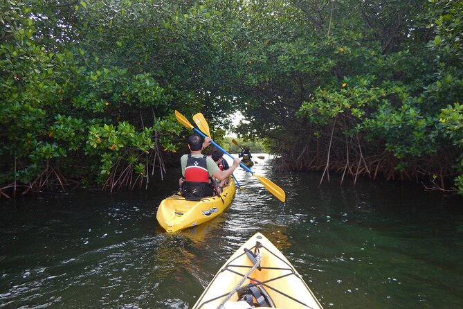Sunset Kayak Tour in the Mangrove Lagoon, St Thomas - Key things to know before you paddle