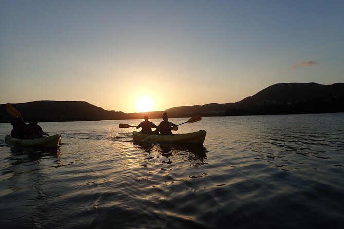 Sunset Kayak Tour in the Mangrove Lagoon, St Thomas - Is $59 a fair price?