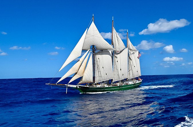 Sunset Sail Aboard the Tall Ship Denis Sullivan - Helping With the Sails or Taking the Wheel