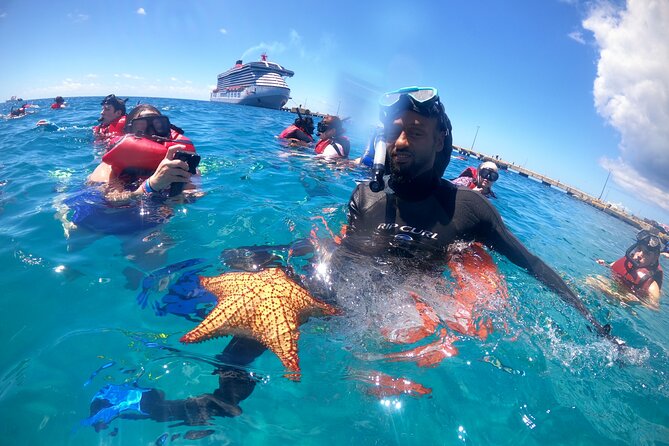 The Frederiksted St. Croix Sea Turtles Snorkeling Tour - What the 75-minute itinerary feels like