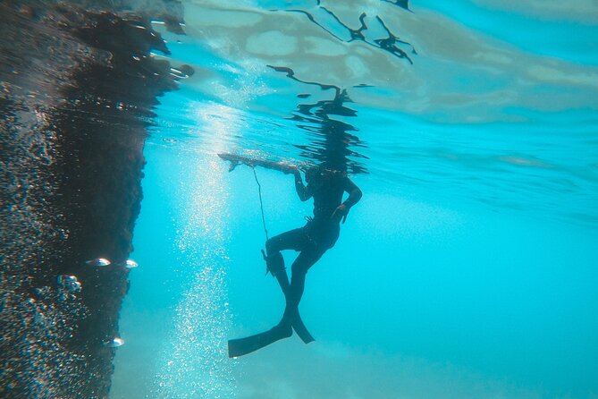 The Frederiksted St. Croix Sea Turtles Snorkeling Tour - How the group size affects the outing