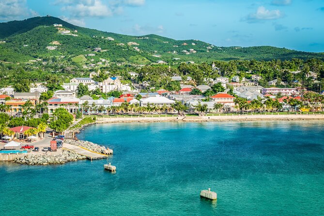The Frederiksted St. Croix Sea Turtles Snorkeling Tour - Who should book this snorkeling tour?