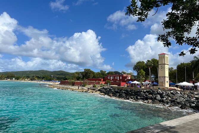The Frederiksted St. Croix Sea Turtles Snorkeling Tour - Booking, weather, and cancellation details